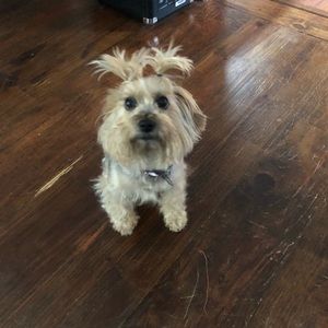 Meet your Posher, Salma